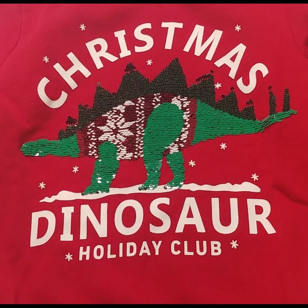 H&M brand, boy Christmas sweatshirt in size 4-6Y, in perfect condition!